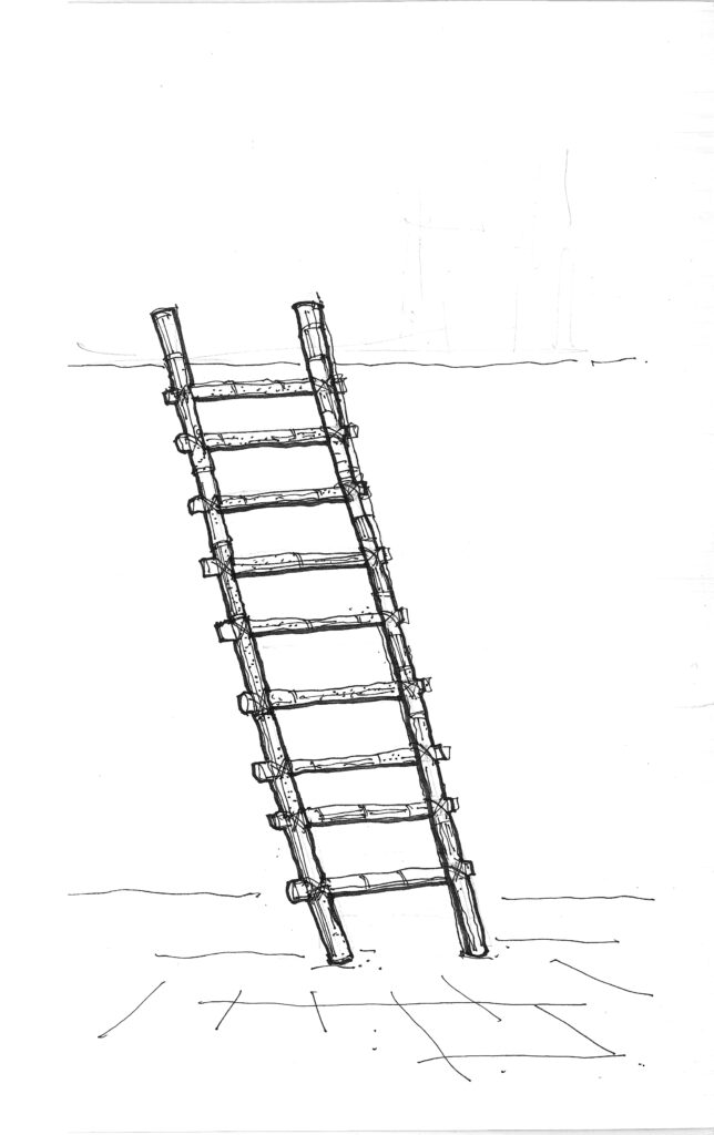 An illustration of a bamboo ladder