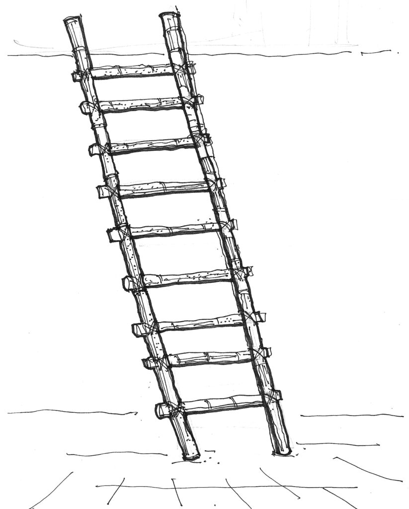 An illustration of a bamboo ladder