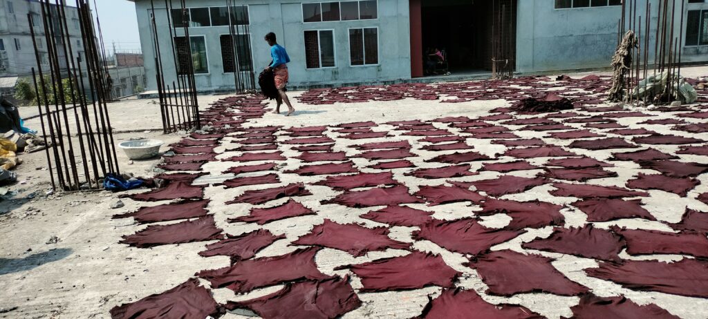 A child drying leather under the sun.