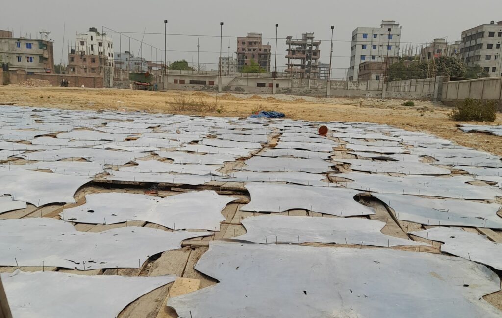 Leather pinned out to dry on open ground